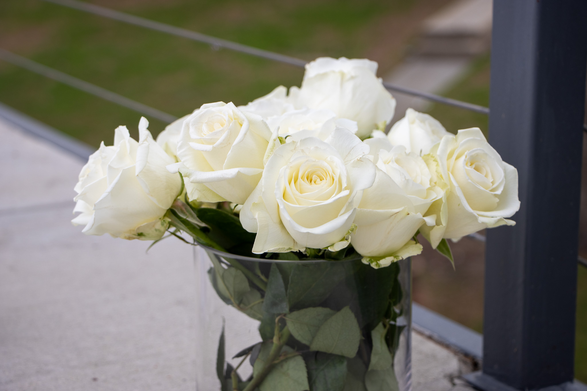 White roses from the engagement celebration